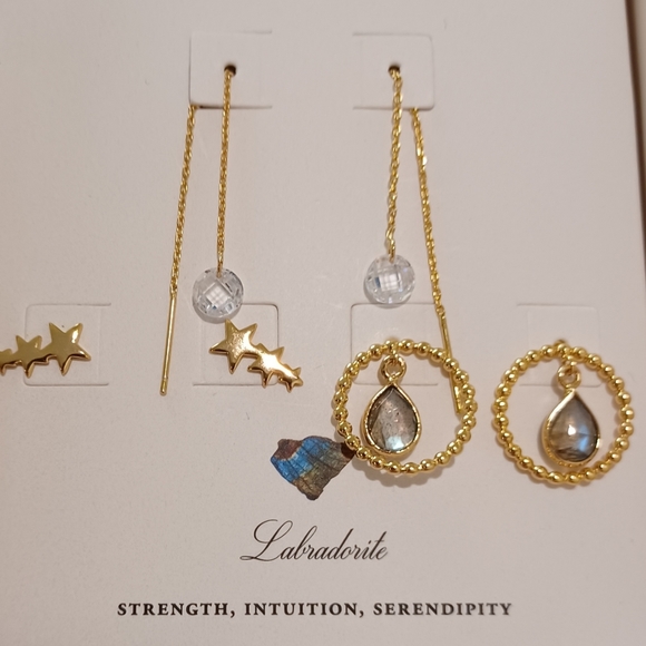 5 PAIRS OF INTERCHANGEABLE EARRINGS BY LUNA NORTE - Picture 4 of 12